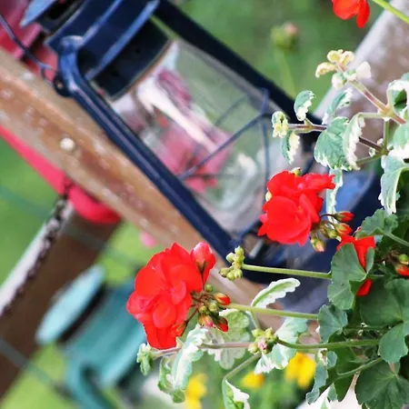 招待所 主之耳语酒店 Nagykoru