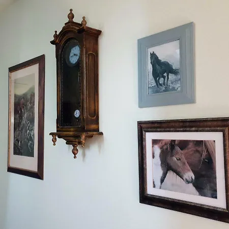 主之耳语酒店 招待所 4*