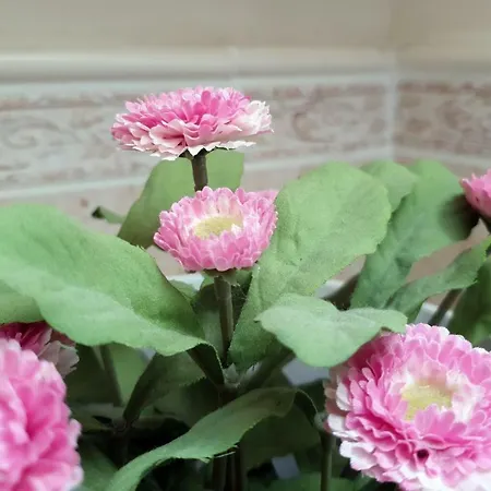 主之耳语酒店 4*