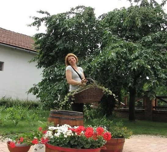 A Suttogóhoz
